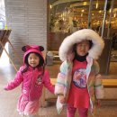 샤브20 연산점 이미지