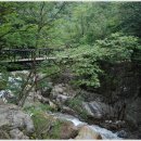 백무동야영장 이미지