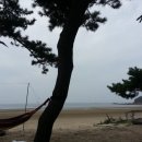 장삼포해수욕장 이미지