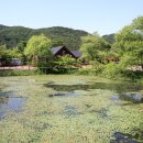 선운산 생태숲 방문자센터 이미지