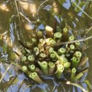 옥천농협북일지점 이미지