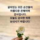 담묵