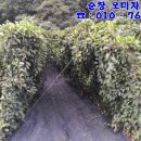 한철농장 이미지