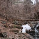 팔현2리 이미지