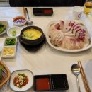 행복한해적 이미지