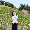 오륙도 스카이워크 | 부산 오륙도 스카이워크 후기,수선화인생샷명소(주차꿀팁까지)