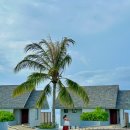 루비비네 | 몰디브 아나네아 마디바루 후기 3 (스팅 바, 무지개뷰?, 더 갤러리 레스토랑)