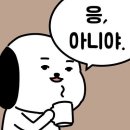 알리바이(계림점) | 밤의 경주는 낮보다 아름답다 : 경주여행 첫번째날 이야기