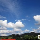 나산세탁소 이미지