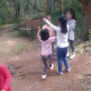 한독유치원 이미지