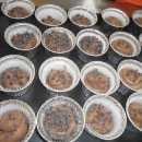 송광초등학교 이미지