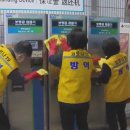 보광초등학교 병설유치원 이미지