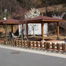 순천평화병원 Daum카페