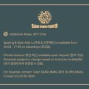 싸비 복싱 주짓수 MMA 이미지