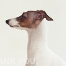 가가스튜디오 이미지