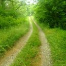 미소길탐방쉼터 이미지