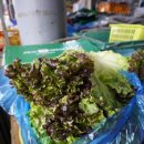 영명상회 이미지