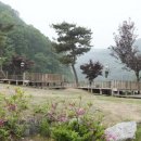 통나무집B민박 이미지