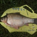 심곡지 이미지