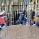 문화동011 이미지