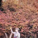 분당야탑3-A-6 이미지