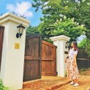 성주숲속작은집민박 | 1만평 숲속 동화 같은 감성카페, 성주 리베볼에서의 특별한 시간!
