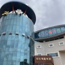 진도개 53카페 이미지