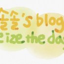 몰리힐스(MOLLI HILLS) 이미지