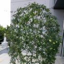 참샘영농조합법인 이미지