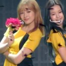영단어 하나 외웠어요 curious 이미지