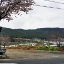 한영농장 이미지