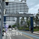 세븐일레븐 정동진해변점 | [ 강릉 애견동반 숙소 ] 강릉 애견동반호텔 세인트존스 애견동반 방문 후기 , 체크인꿀팁 + 할인 꿀팁