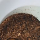 팔공산힐링 이미지