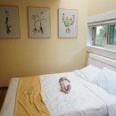 클럽타피올라 이미지