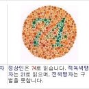 파프리카안경 네이버블로그
