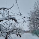 천만농장2 이미지