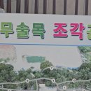 숨 쉬는 예술 여수에 춤추다 | 여수 돌산 가볼만한곳: 자연과 예술이 숨쉬는 무슬목 유원지 '무슬목 조각공원' #여수하늘보기