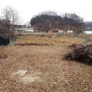 백마령농장 이미지