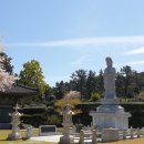 제주불교성지 순례길 절로 가는길 - 보시의 길 이미지