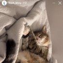 (주)광일식품 | 구월은 놓지 못한 달