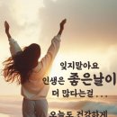 황혼까지 아름다운사랑 이미지