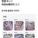 햇츠오프