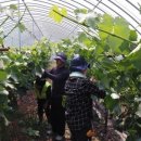 만경읍사무소 이미지