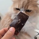 아르까페 | 연남동디저트 아내에게 칭찬받은 100% 성공 선물! 홍대카페 라보아르 택배 후기