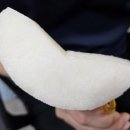 2026년 나주 햇배 이미지
