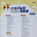 우리가족 정원 만들기 | 우리가족 미니정원 만들기 파주시도시농업박람회 참여후기 2