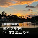 쇼어컴퍼니 | 하와이 혼자여행 여행사 없이 경비 비용 4박 5일 코스 추천