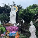 시내중심 | 다낭 시내 중심 팝람사(法林寺) 방문 후기｜도심 속 힐링 사원 추천