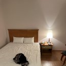 대동호텔 이미지