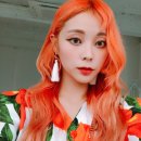 헬로버블